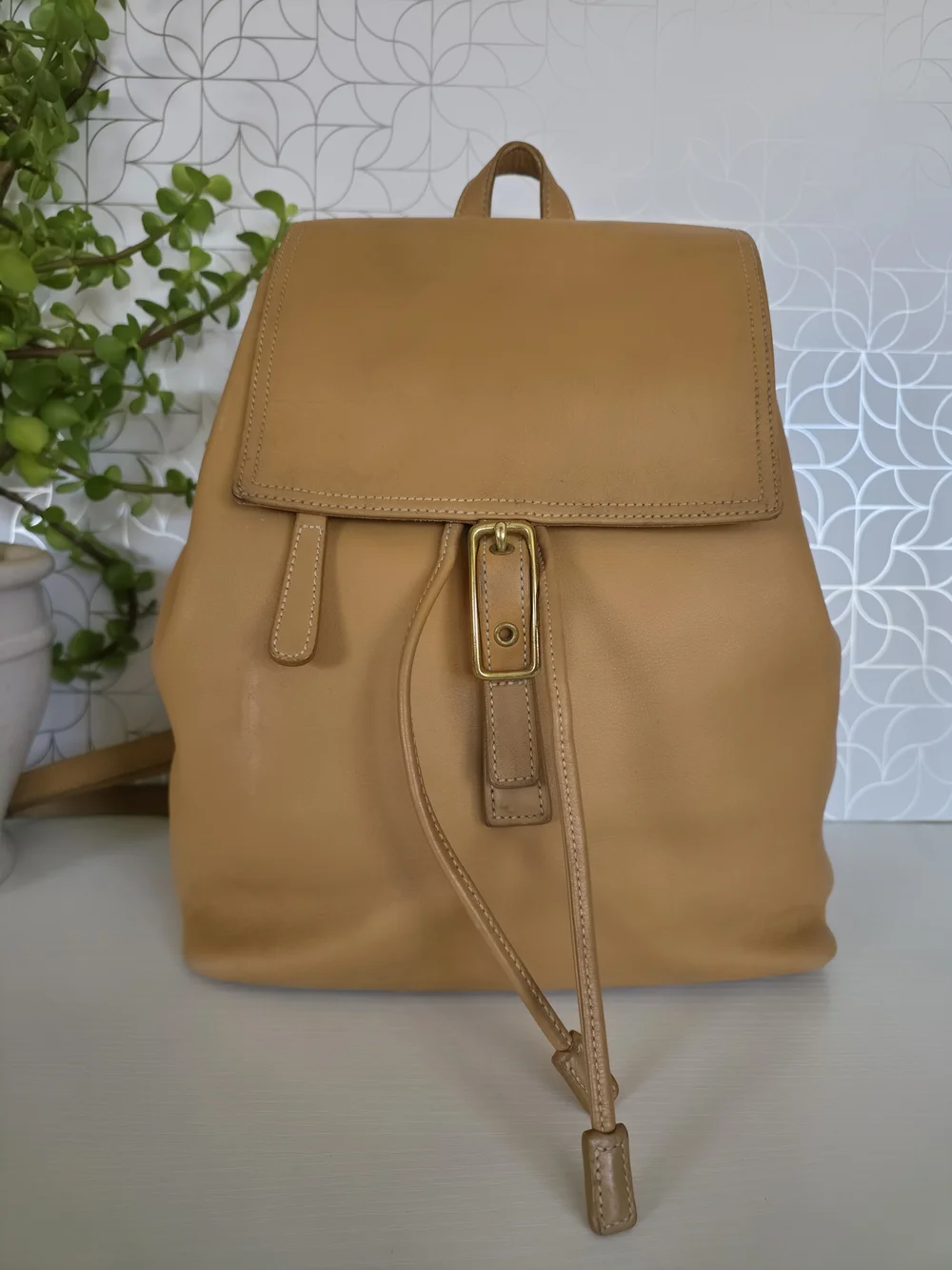 Vintage Coach Legacy West Hampton Daypack Backpack